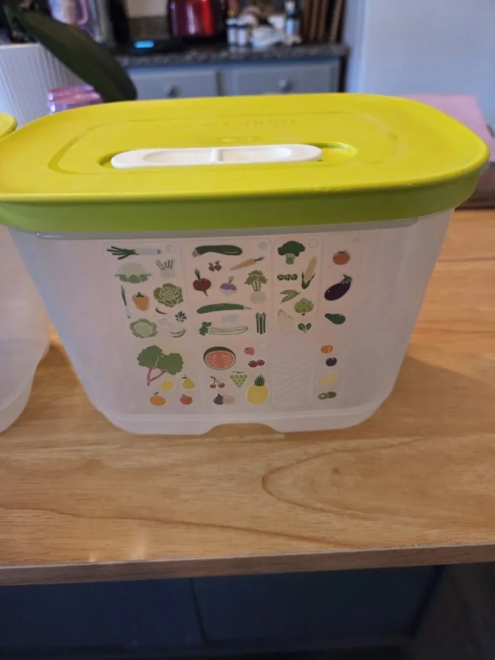 Tupperware Fridge Smart 4pc Set Veggies Fruits Stay FRESH 7288 7291 7286 x2 EUC